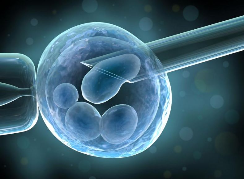 Экстракорпоральное оплодотворение яйцеклетки, научный метод 
зачатия, ЭКО