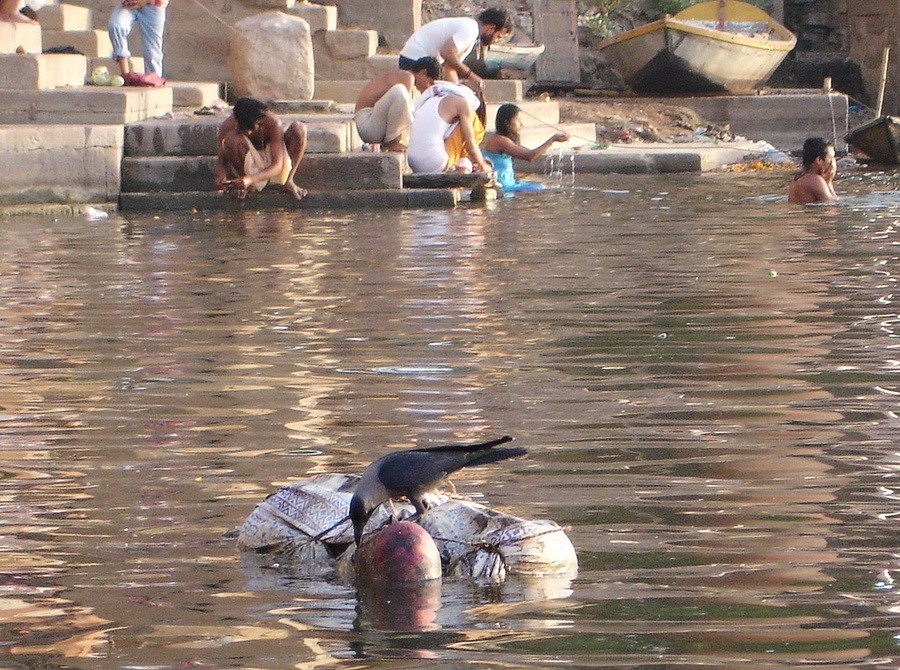 Индия, Ганг, трупы плавают в реке